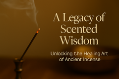Ancient Chinese Incense Wisdom: Healing Rituals from Jun–Chen–Zuo–Shi Formulas