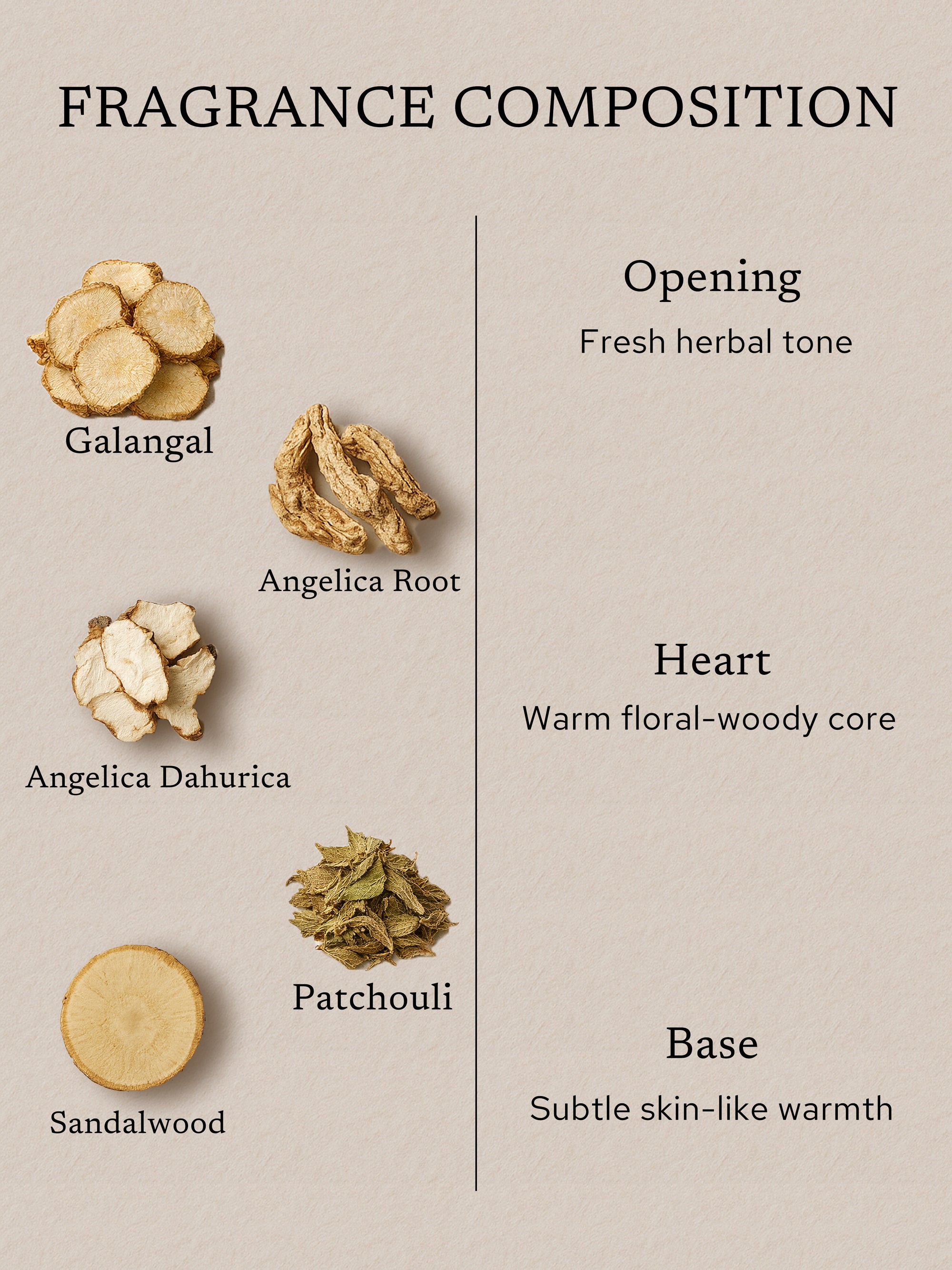 Fragrance composition and scent journey of traditional Chinese incense, featuring galangal, angelica root, angelica dahurica, patchouli, and sandalwood, illustrating opening fresh herbal notes, a warm floral-woody heart, and a subtle skin-like warmth at the base.