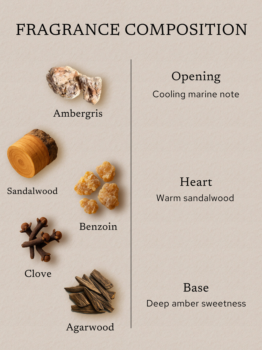 Fragrance composition flat lay featuring ambergris, sandalwood, benzoin, clove, and agarwood, illustrating the opening marine note, warm sandalwood heart, and deep amber base.