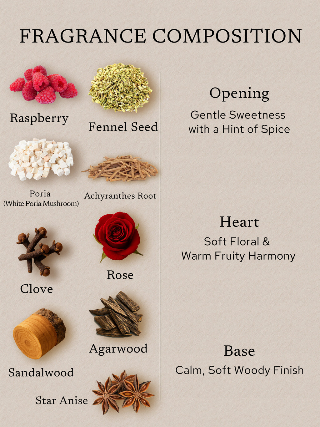Fragrance composition flat lay featuring raspberry, fennel seed, poria, achyranthes root, rose, clove, sandalwood, agarwood, and star anise, illustrating a gentle sweet opening, soft floral fruity heart, and calm woody base.