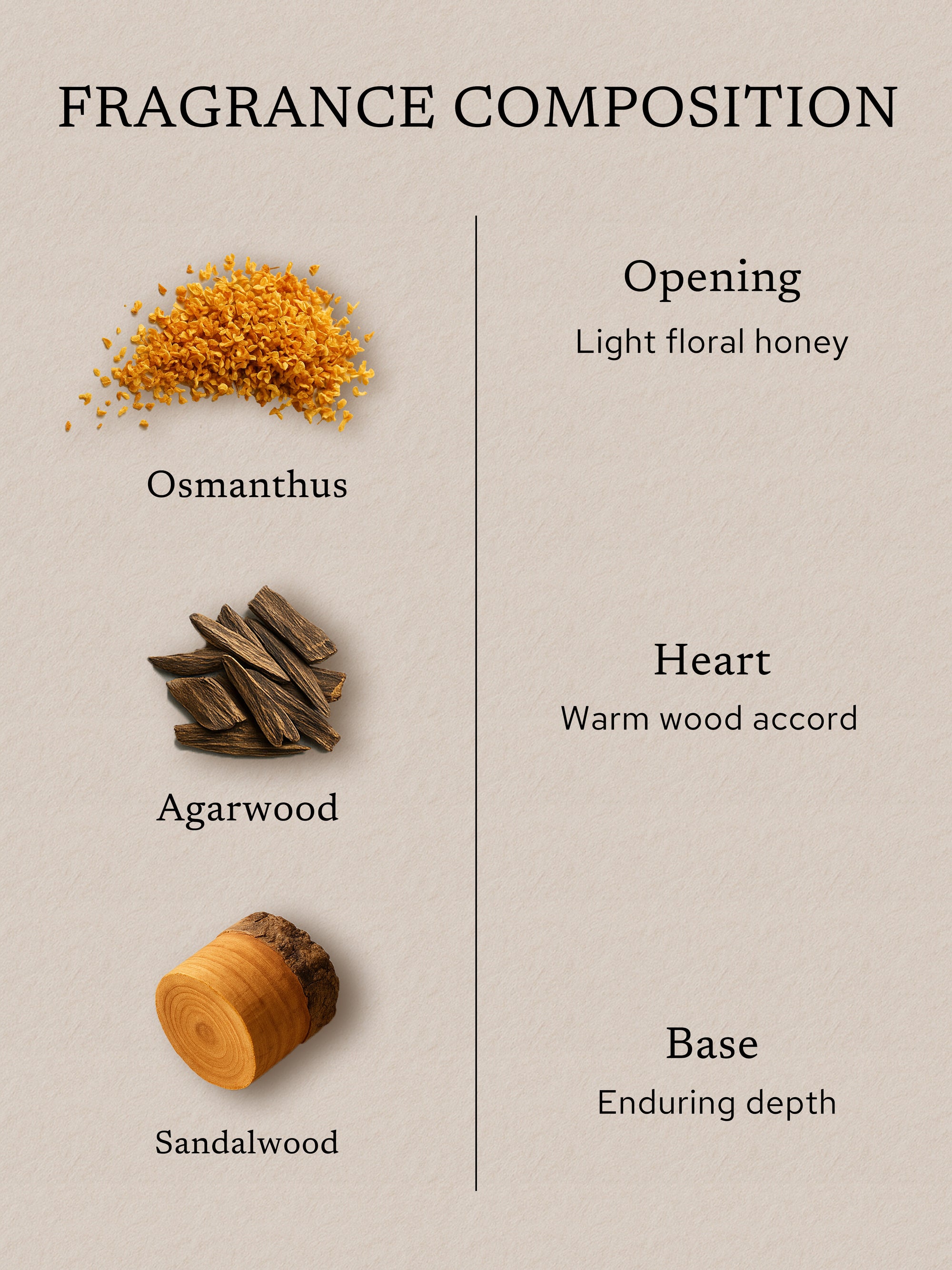 Fragrance composition of osmanthus incense blend, featuring osmanthus flowers, agarwood, and sandalwood, illustrating a scent journey from light floral honey notes to warm woody depth