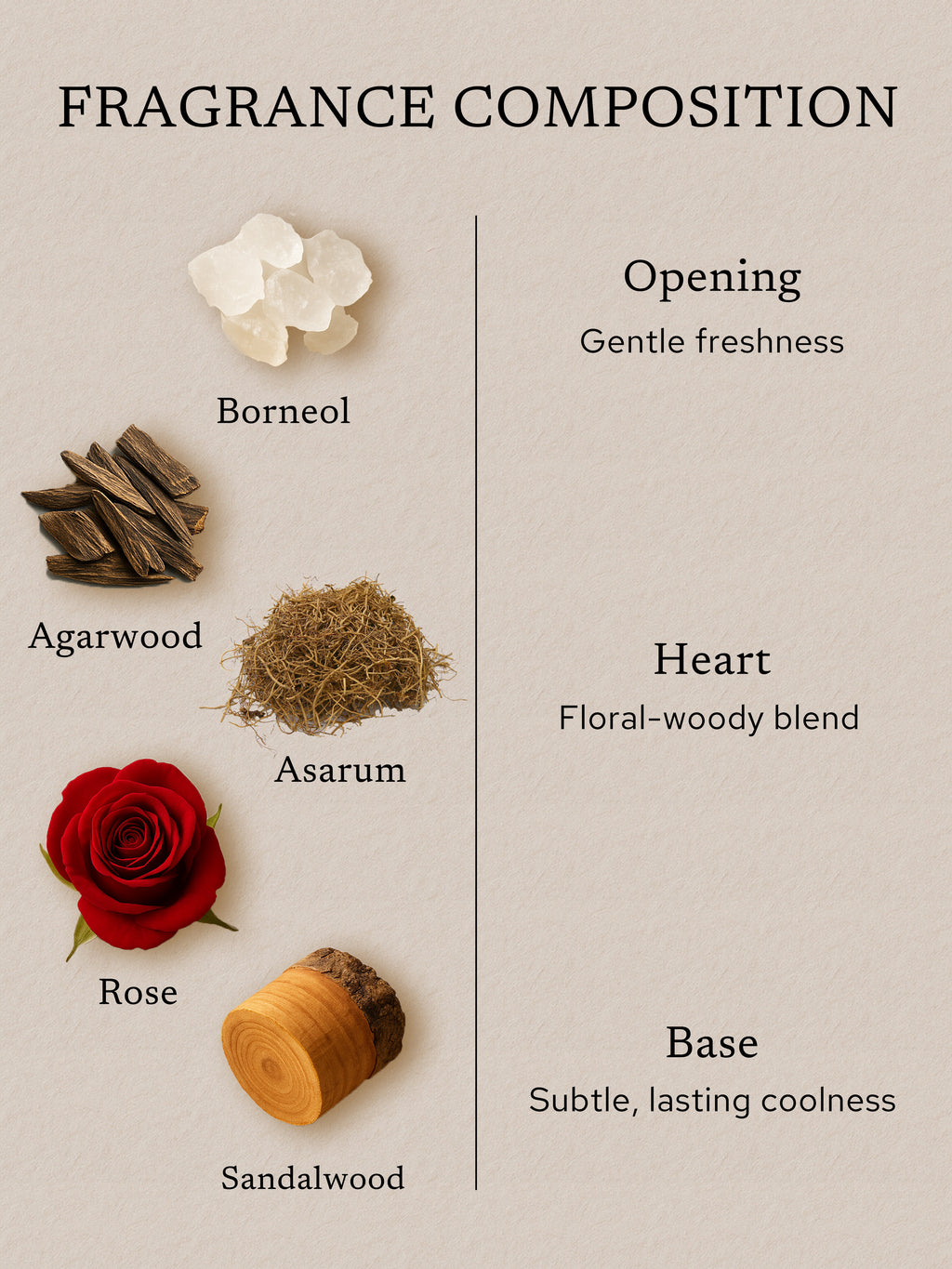 Fragrance composition flat lay featuring borneol, agarwood, asarum, rose, and sandalwood, illustrating a gentle fresh opening, floral-woody heart, and a subtle, lasting cool base.