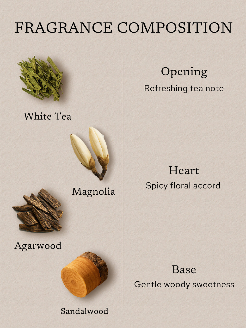 Fragrance composition of white tea incense with white tea, magnolia, agarwood, and sandalwood, showing a refreshing tea opening, a spicy floral heart, and a gentle woody sweetness in the base.
